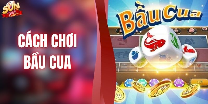 Cách Chơi Bầu Cua SUNWIN - Game Quen Thuộc Nhưng Cuốn Hút
