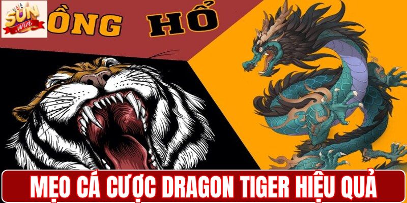 Mẹo cá cược Dragon Tiger hiệu quả